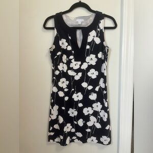 New York & Company Navy/White Dress